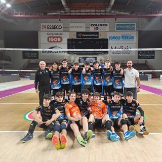 Serie D - M- APPHOTEL