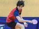 tennistavolo biella tennistavolo biella
