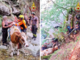 Animali bloccati in alta quota: complesso recupero in Val Sermenza Animali bloccati in alta quota: complesso recupero in Val Sermenza