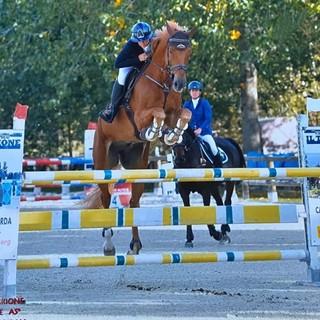 Nazionale A 5 Stelle a Tortona, buoni successi per la scuderia Il Rosignolo, foto fornite da Lucia Enea Nazionale A 5 Stelle a Tortona, buoni successi per la scuderia Il Rosignolo, foto fornite da Lucia Enea
