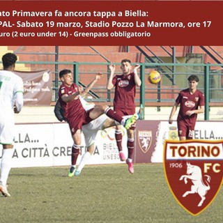 Sabato allo Stadio Pozzo-La Marmora il Torino Primavera sfida la Spal Sabato allo Stadio Pozzo-La Marmora il Torino Primavera sfida la Spal