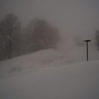 Rinviato anniversario Scuola di sci Bielmonte Oasi Zegna