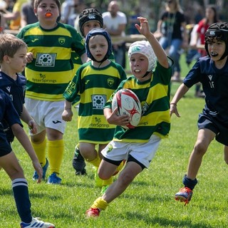 Rugby, oltre 700 atleti a Biella per il Torneo dell’Orso (foto di A. Mantovan)
