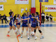 teamvolley milano