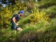 Si avvicina il Trail Oasi Zegna: oltre 400 iscritti all'edizione 2026 - Foto Andrea Chiodi Si avvicina il Trail Oasi Zegna: oltre 400 iscritti all'edizione 2026 - Foto Andrea Chiodi