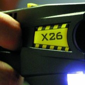 Quaregna Cerreto: Cane colpito con un taser nel proprio cortile Quaregna Cerreto: Cane colpito con un taser nel proprio cortile