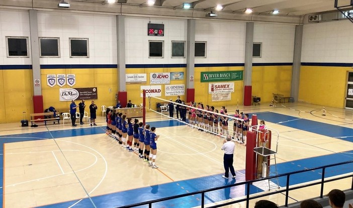 teamvolley teamvolley