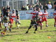 Biella Rugby: esordio insoddisfacente per la Senior Femminile. Biella Rugby: esordio insoddisfacente per la Senior Femminile.