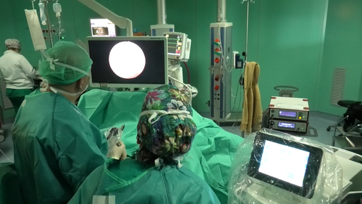 “All’ospedale di Biella un esempio di buona sanità: elogio al dottor Zaramella e al suo reparto” “All’ospedale di Biella un esempio di buona sanità: elogio al dottor Zaramella e al suo reparto”