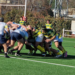 Rugby, BRC, tutti i risultati del weekend gialloverde Rugby, BRC, tutti i risultati del weekend gialloverde