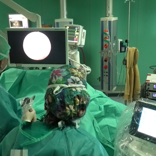 “All’ospedale di Biella un esempio di buona sanità: elogio al dottor Zaramella e al suo reparto” “All’ospedale di Biella un esempio di buona sanità: elogio al dottor Zaramella e al suo reparto”