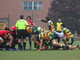 Biella Rugby Club, tutti i risultati del weekend gialloverde, foto Brc