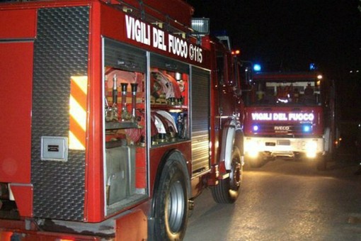 Dal Nord Ovest - Incendia un albero, nei guai un 15enne incastrato dalle telecamere (foto di repertorio)