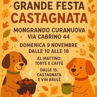 Bulli e Pupe con la Coda vi aspetta al  Charity shop a Mongrando