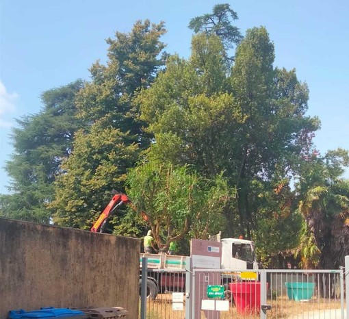 melograni di Biella arrivano a Chiavazza