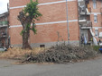 Villaggio Lamarmora, Leone: "In via Donato una discarica all'aperto" Villaggio Lamarmora, Leone: "In via Donato una discarica all'aperto"