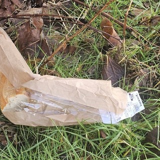 Pane tra i rifiuti lungo la SP 211: "Un tempo ci insegnavano che non si butta mai"