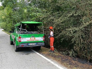 Biella, incendio di sottobosco tra Pavignano, Vaglio e Colma Biella, incendio di sottobosco tra Pavignano, Vaglio e Colma