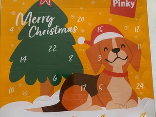 Bulli e Pupe con la Coda vi aspetta al  Charity shop a Mongrando