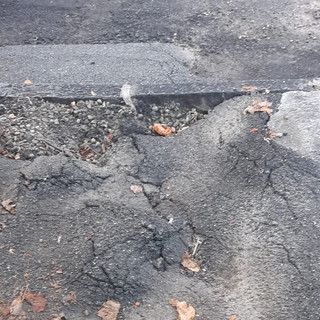 Leone: "La manutenzione ordinaria della Città di Biella è un problema grave" FOTO Leone: "La manutenzione ordinaria della Città di Biella è un problema grave" FOTO