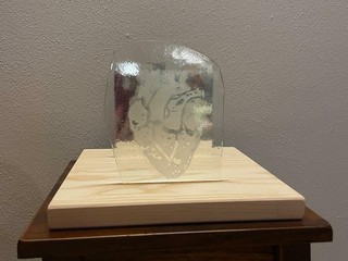 Facciotti Nicole 4H, Trasparenza organica