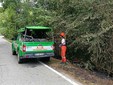 Biella, incendio di sottobosco tra Pavignano, Vaglio e Colma Biella, incendio di sottobosco tra Pavignano, Vaglio e Colma
