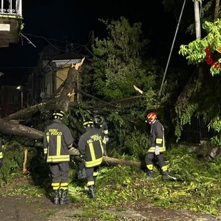 Dal nord ovest: Violento temporale nell'Alessandrino, numerosi interventi dei Vigili del Fuoco nella notte