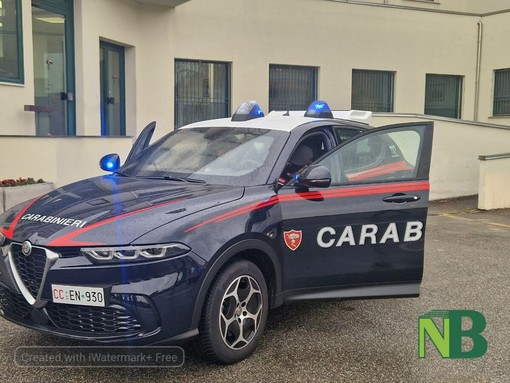 Discussioni, minacce e liti: giornata di interventi per l’Arma dei Carabinieri (foto di repertorio) Discussioni, minacce e liti: giornata di interventi per l’Arma dei Carabinieri (foto di repertorio)