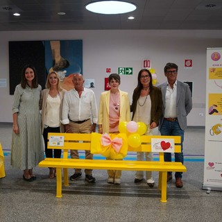 La Ginecologia dell’Ospedale di Biella al fianco delle donne, in prima linea nel trattamento dell’endometriosi FOTO