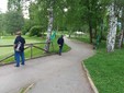 Al Golf Club Biella in Gara gli Alpini, Sità primo in classifica foto Lauretta Gronda