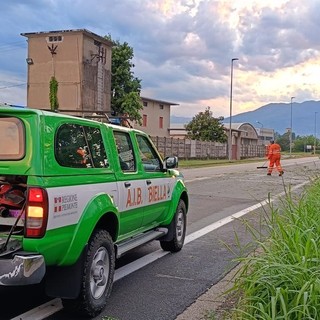 Maltempo, decine di alberi abbattuti in tutto il Biellese: in campo anche i volontari AIB