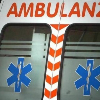 Dal Nord Ovest - 91enne incastrato sotto un albero caduto mentre è in bici (foto di repertorio)