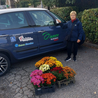 Gesto di umanità nei cimiteri di Cossato, l’Auser ricorda i defunti con un fiore sulle tombe senza visite