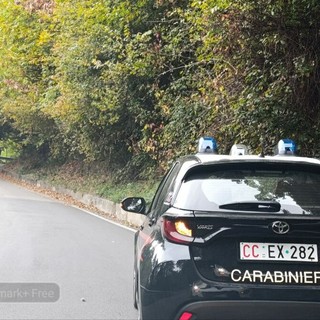 Biella Favaro, i residenti "Grazie ai Carabinieri, era una situazione insostenibile" Biella Favaro, i residenti "Grazie ai Carabinieri, era una situazione insostenibile"
