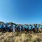 Movimento, natura e solidarietà: grande partecipazione in Baraggia per la Fitwalking for AIL 2026 (foto dalla pagina Facebook di Erika Vallera - Candelo) Movimento, natura e solidarietà: grande partecipazione in Baraggia per la Fitwalking for AIL 2026 (foto dalla pagina Facebook di Erika Vallera - Candelo)