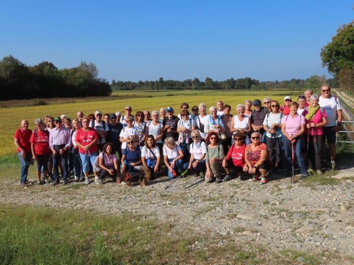 auser cossato auser cossato