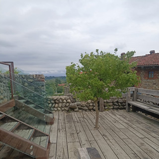 Candelo, ripristinato l’albero del Belvedere del Ricetto: era stato spezzato lo scorso marzo