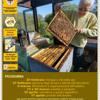 Biella, api e ambiente, al via il corso di apicoltura 2026