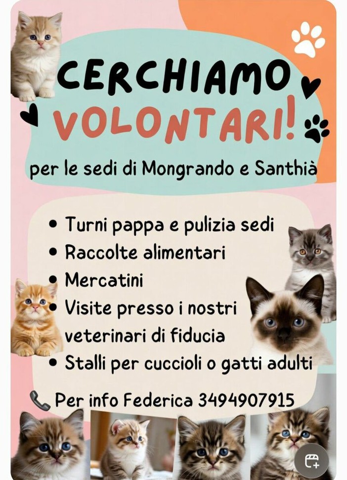 A-Mici Bau: "Cerchiamo volontari per le sedi di Mongrando e Santhià"