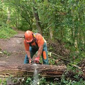 Maltempo, a Biella rami e tronchi d’albero a terra: AIB in campo ai Giardini Arequipa e al Gorgomoro FOTO