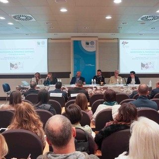 asl biella asl biella