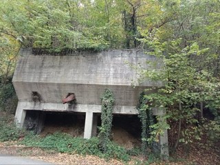 Tenta di sfuggire alle forze dell'ordine e cade in un dirupo FOTO Mattia Baù per newsbiella.it Tenta di sfuggire alle forze dell'ordine e cade in un dirupo FOTO Mattia Baù per newsbiella.it