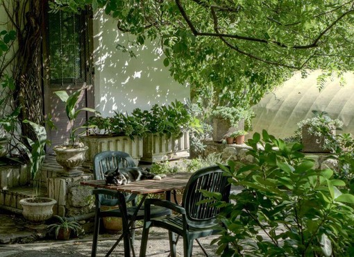 Come arredare il giardino, consigli utili per iniziare Come arredare il giardino, consigli utili per iniziare