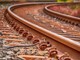 Tragedia sulla linea Torino-Bardonecchia, treno investe pastore e le sue pecore (foro di repertorio) Tragedia sulla linea Torino-Bardonecchia, treno investe pastore e le sue pecore (foro di repertorio)