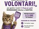 A-Mici Bau cerca volontari, e tu cosa aspetti? A-Mici Bau cerca volontari, e tu cosa aspetti?