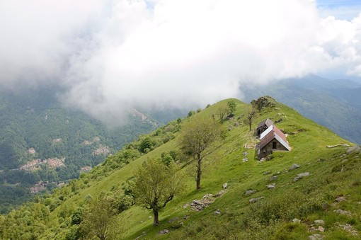 Running, torna la "Rampia Campel": vertical trail fra storia e natura a Campiglia Cervo. Running, torna la "Rampia Campel": vertical trail fra storia e natura a Campiglia Cervo.