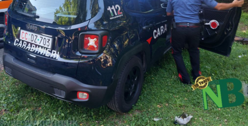 Auto contro il guardrail a Crevacuore e Viverone, scontro tra vetture a Ponderano (foto di repertorio) Auto contro il guardrail a Crevacuore e Viverone, scontro tra vetture a Ponderano (foto di repertorio)