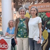 “L’albero del dono" a Biella, un gesto che unisce tutte le culture