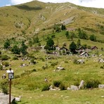 Alpe Artignaga, il Comune punta sulla manutenzione: previsto un intervento sul patrimonio montano Alpe Artignaga, il Comune punta sulla manutenzione: previsto un intervento sul patrimonio montano