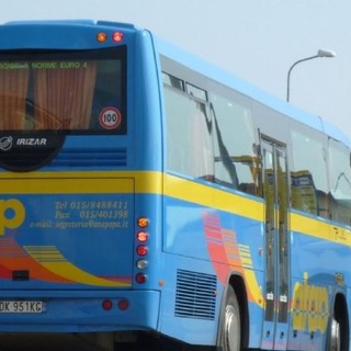 Pettinengo, pullman ATAP investe un cinghiale